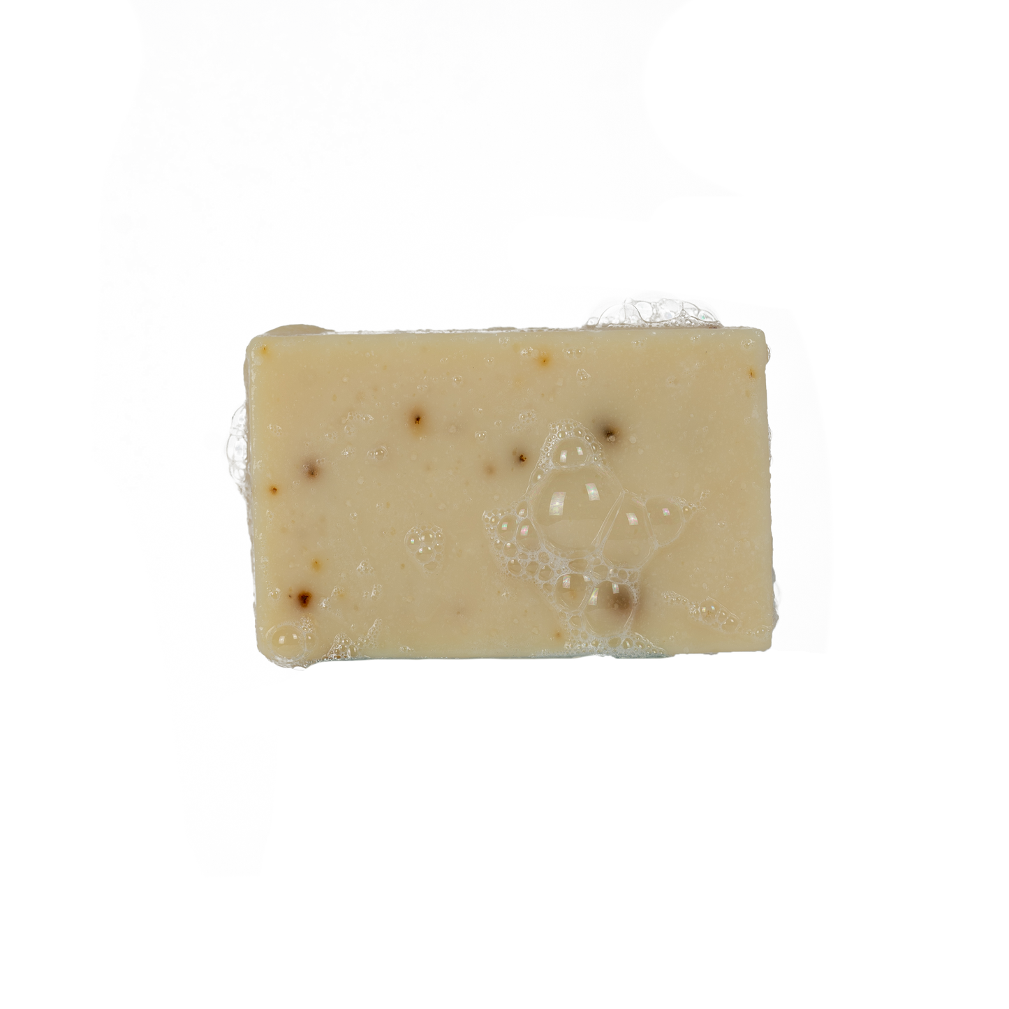 Spearmint Basil 🌿